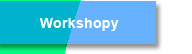 Workshopy