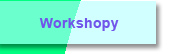 Workshopy