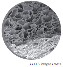 Bego_fleece1