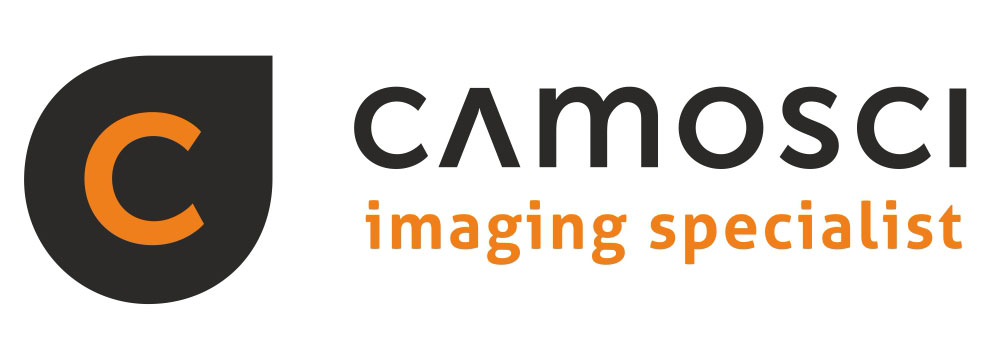 Camosci