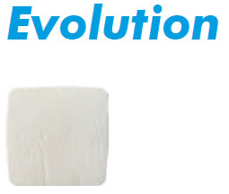 Evolution