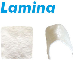 Lamina