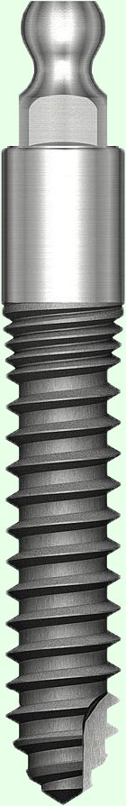 MS Implant MS Implant