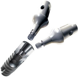 ankylos-implant.jpg ankylos-implant.jpg