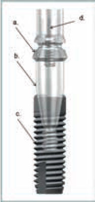 Osetreni_bezzube_abutment_5_13_20 Osetreni_bezzube_abutment_5_13_20
